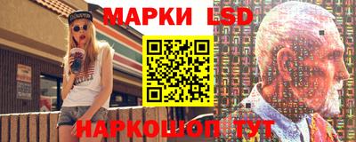 стаф Донецк