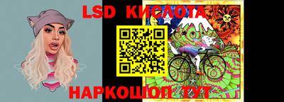 амф Донской
