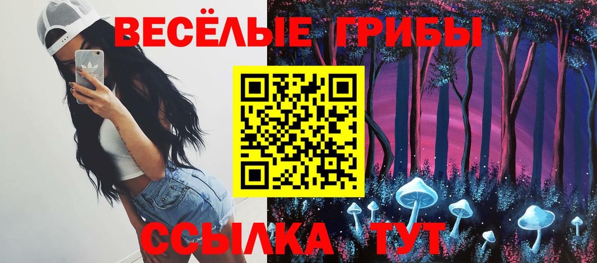 Галлюциногенные грибы Psilocybine cubensis Междуреченск